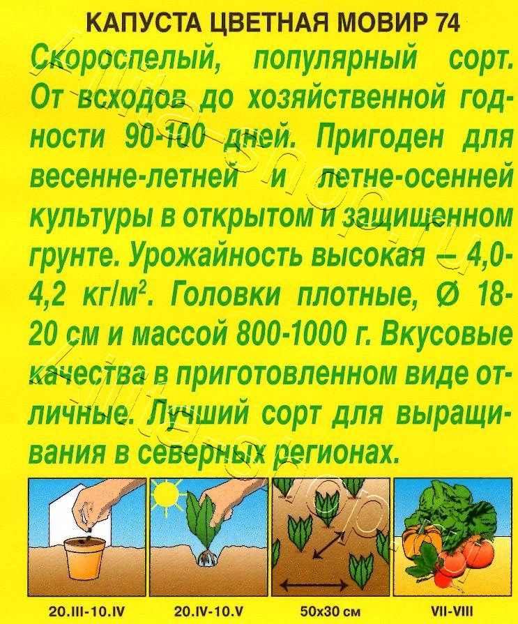 Капуста цветная Мовир 74 0,3г