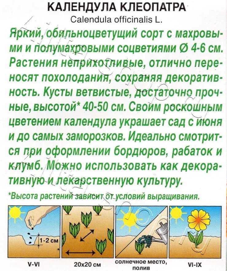 Календула Клеопатра 0,3г
