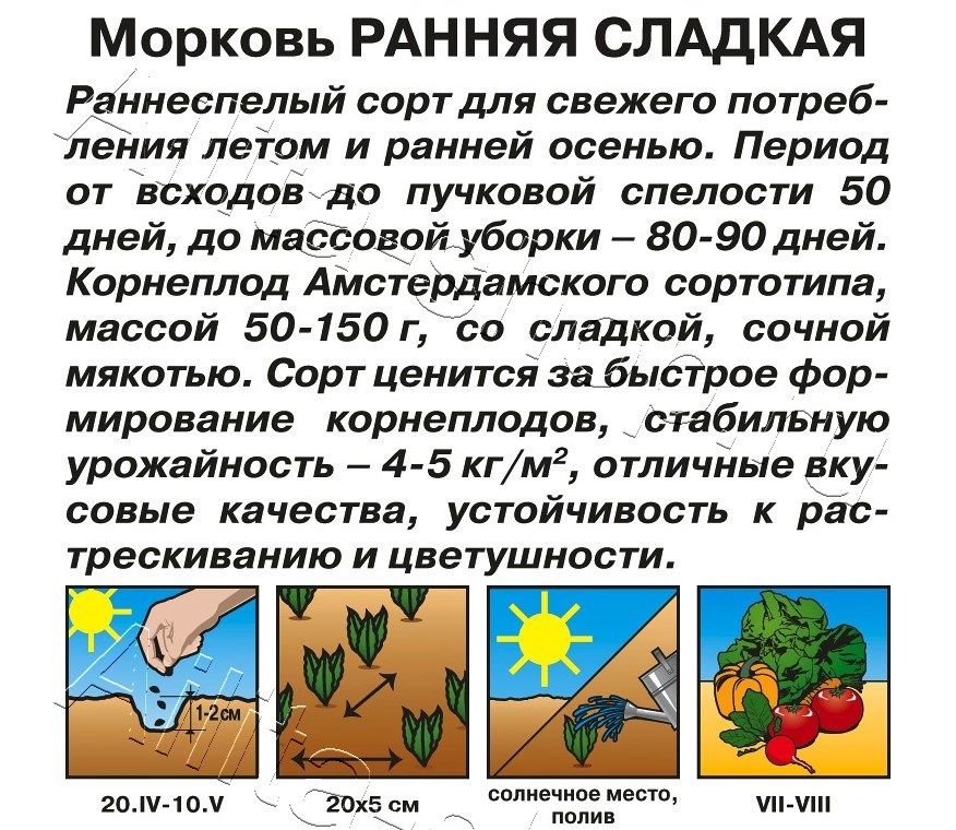 Морковь Ранняя сладкая 2г