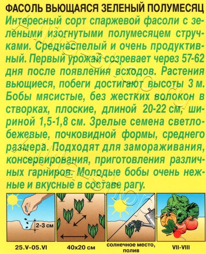 Фасоль вьющаяся Зеленый полумесяц 5г