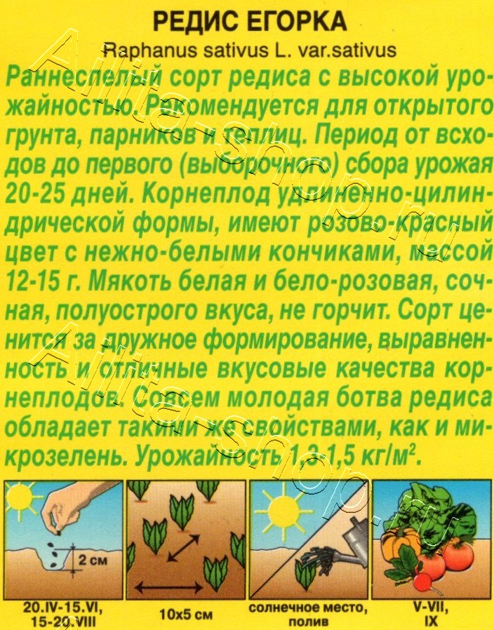 Редис Егорка 2г