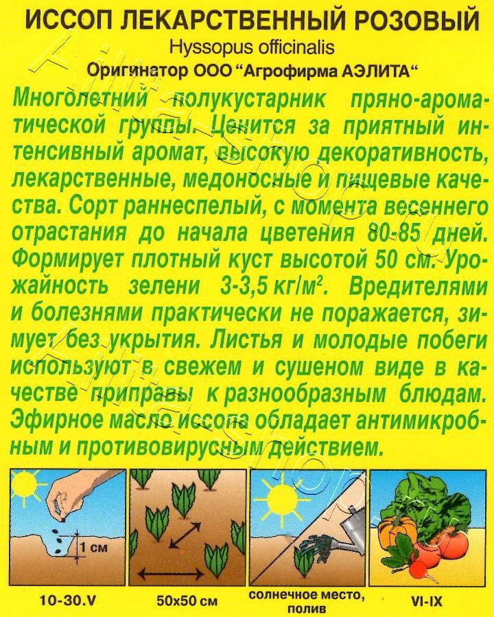 Иссоп лекарственный розовый 0,1г