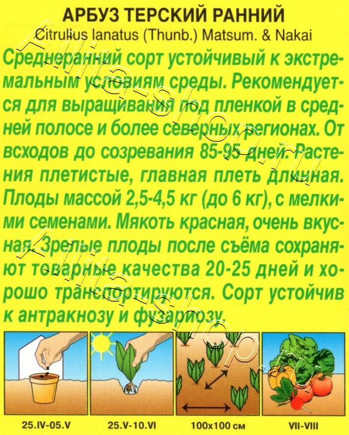 Арбуз Терский ранний 10шт