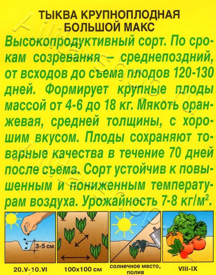 Тыква крупноплодная Большой макс 1г