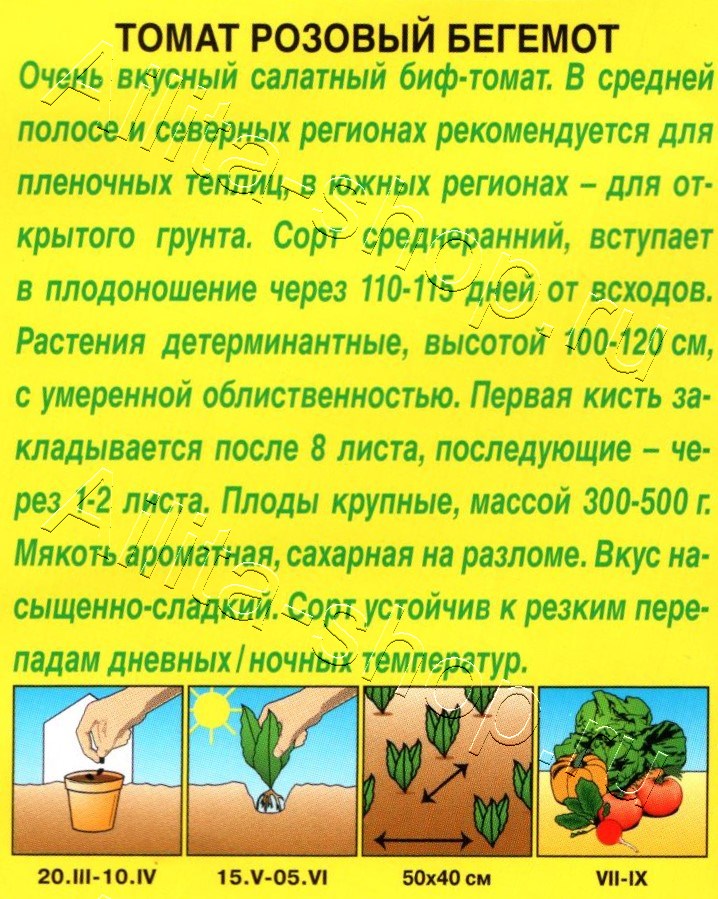 Томат Розовый бегемот 0,2г