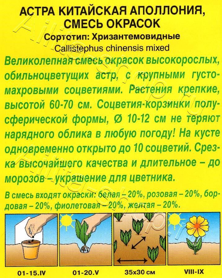 Астра Аполлония, смесь окрасок 0,2г