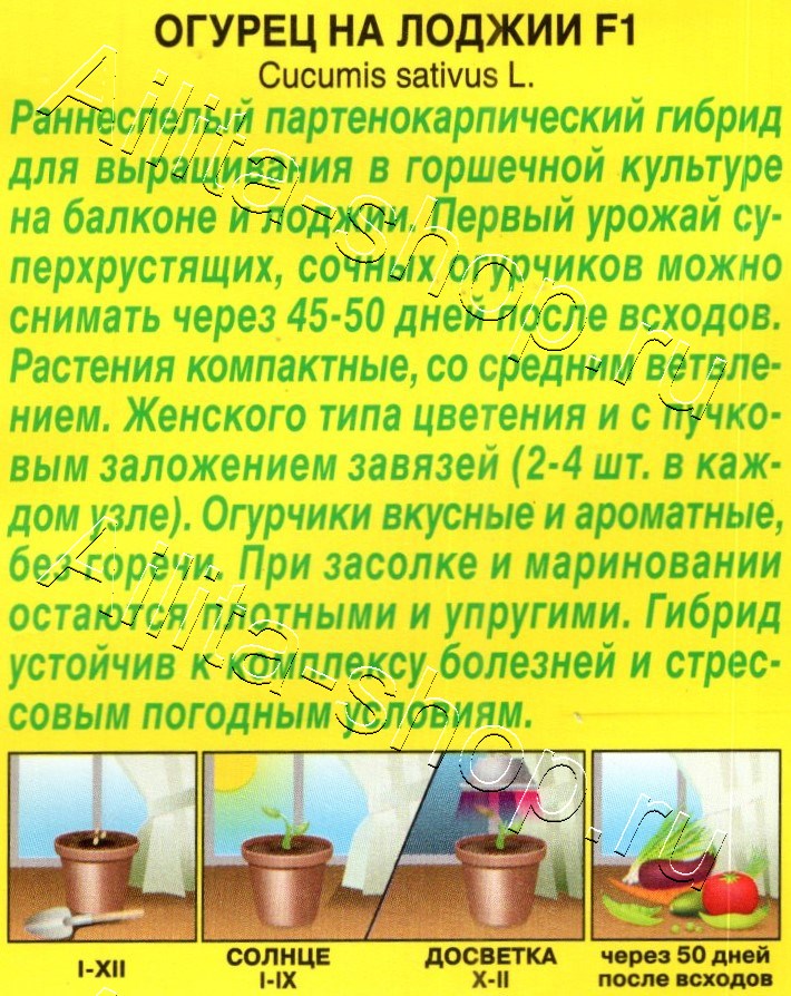 Огурец На лоджии F1 10шт