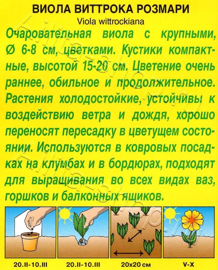 Виола Розмари 0,1г