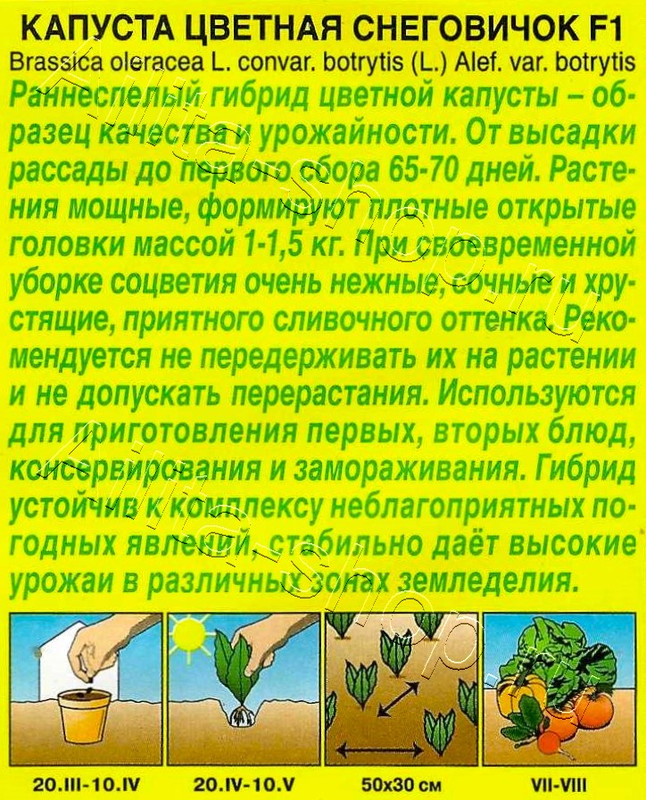 Капуста цветная Снеговичок F1 0,1г