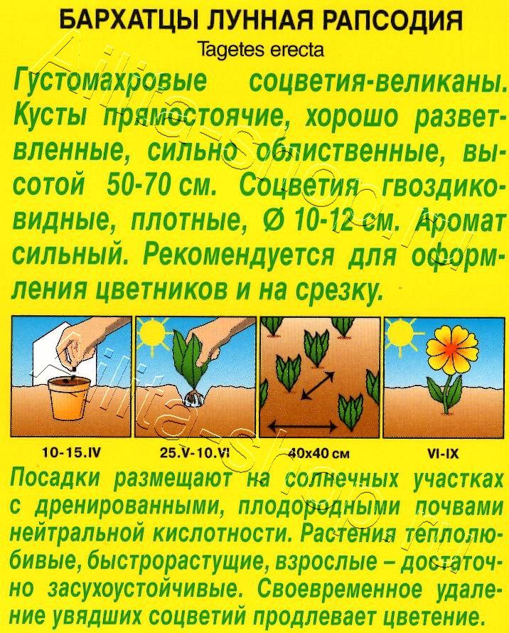 Бархатцы Лунная рапсодия прямостоячие 0,3г