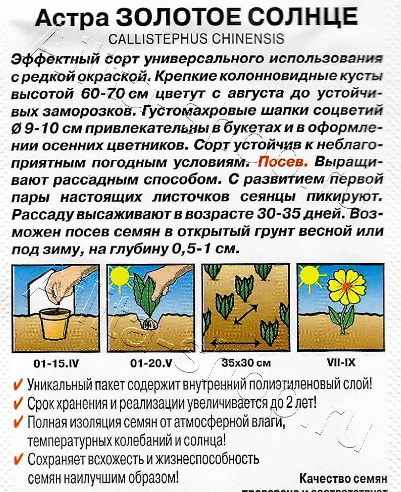 Астра Золотое солнце пионовидная 0,2г