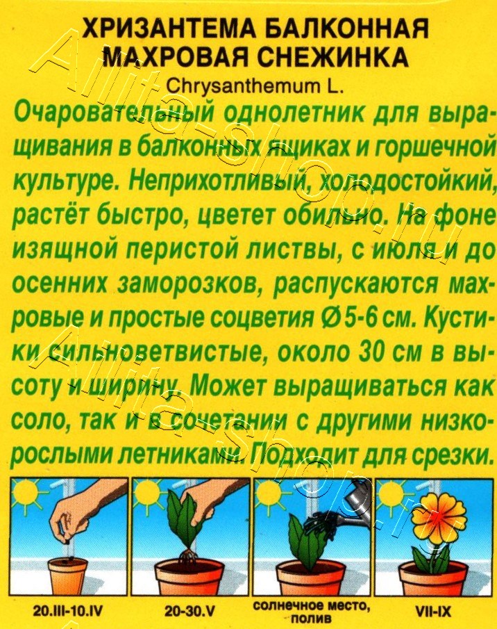 Хризантема балконная Махровая снежинка 0,2г