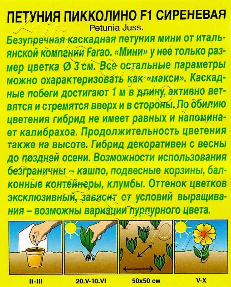 Петуния мини Пикколино F1 сиреневая 5шт