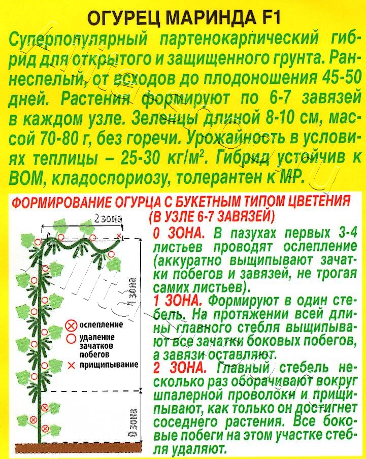 Огурец Маринда F1 10шт