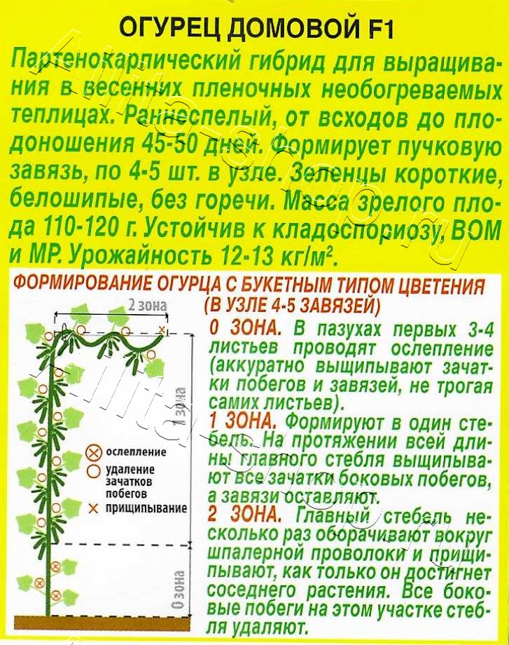 Огурец Домовой F1 10шт