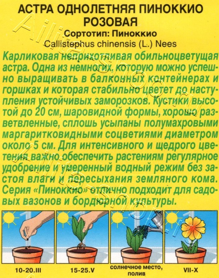 Астра Пиноккио розовая 0,05г