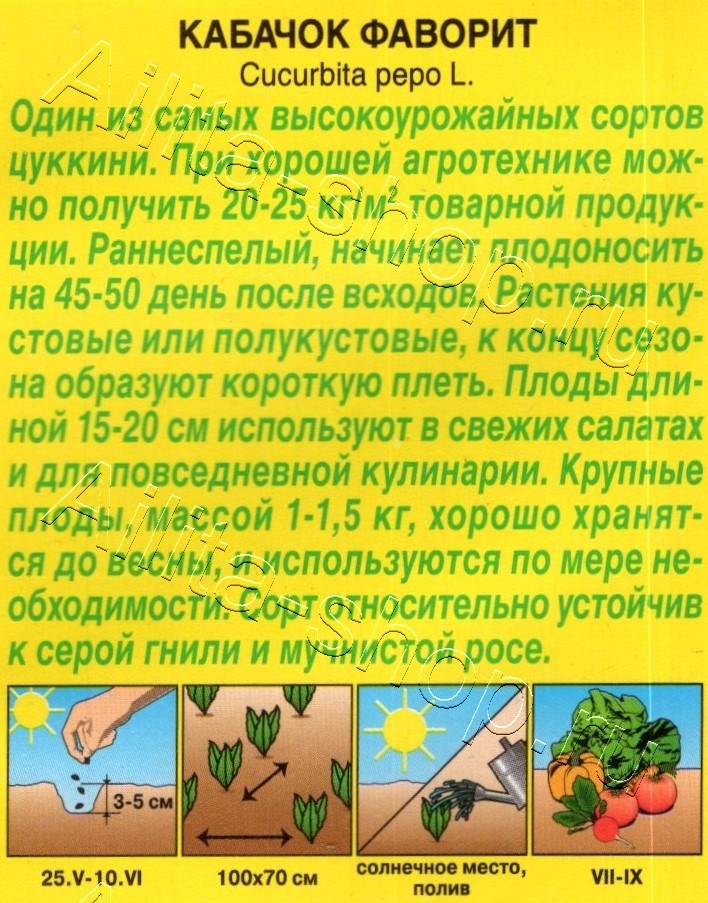 Кабачок цуккини Фаворит 1г