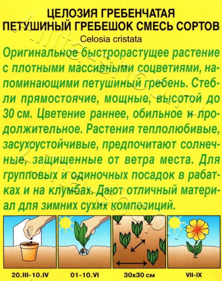 Целозия гребенчатая Петушиный гребешок, смесь окрасок 0,2г