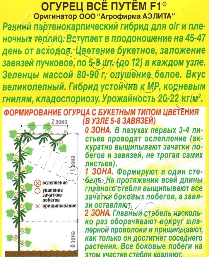 Огурец Все путем F1 10шт