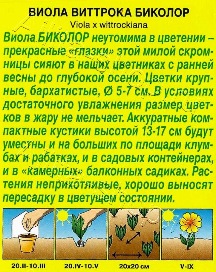 Виола Биколор 20шт