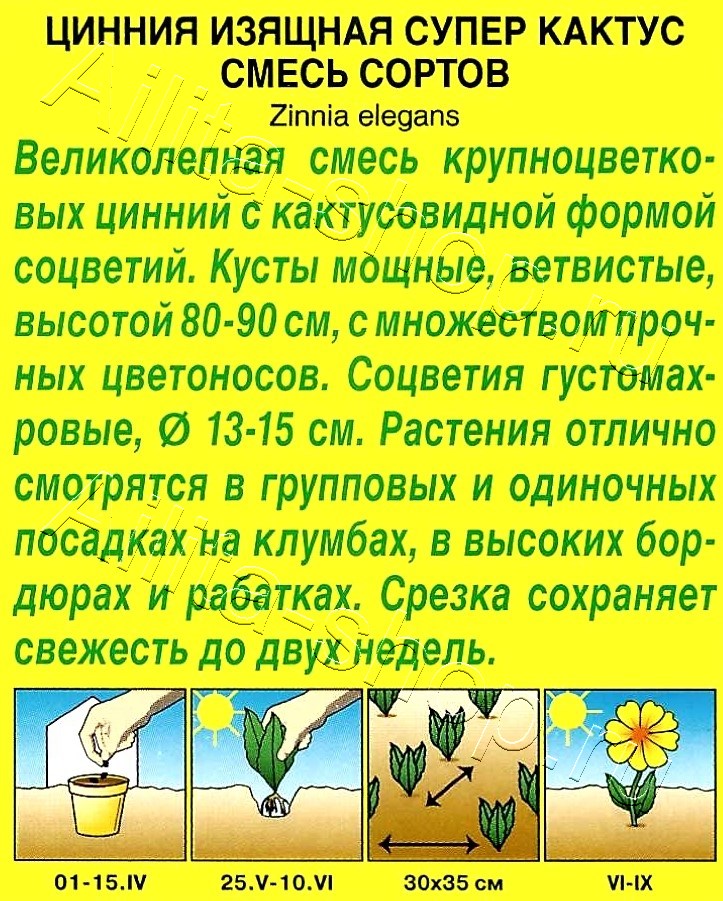 Цинния Супер кактус, смесь окрасок 0,3г