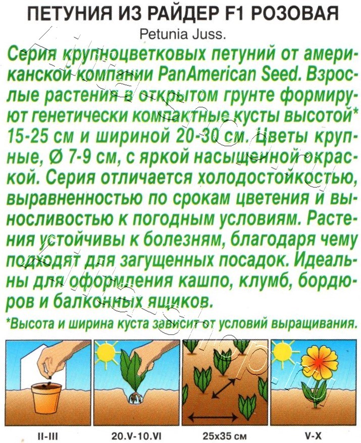 Петуния Из райдер F1 розовая 7шт