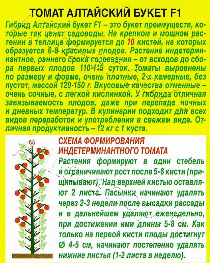 Томат Алтайский букет F1 20шт