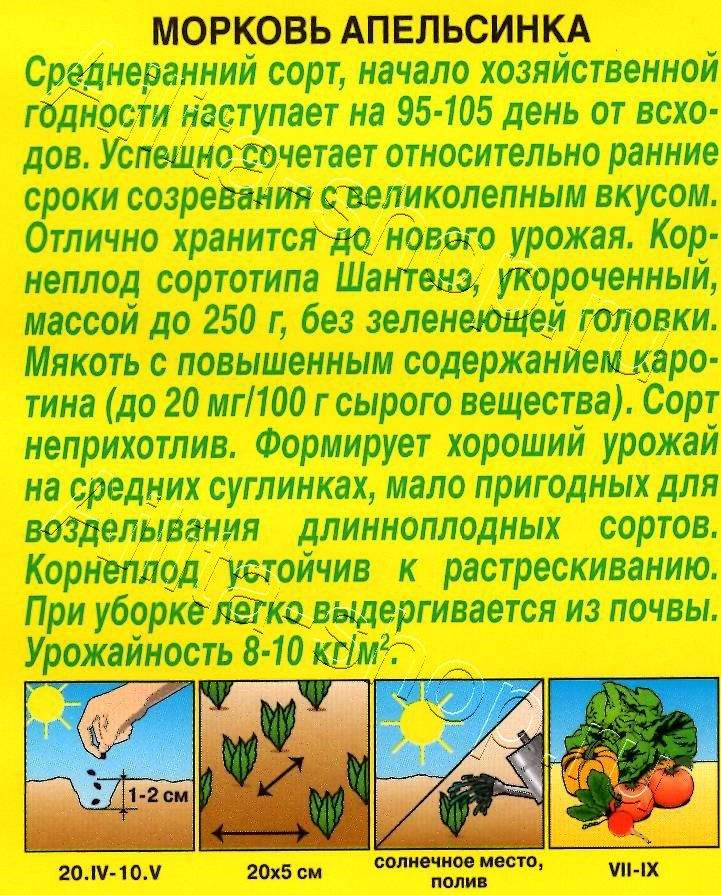 Морковь Апельсинка 2г