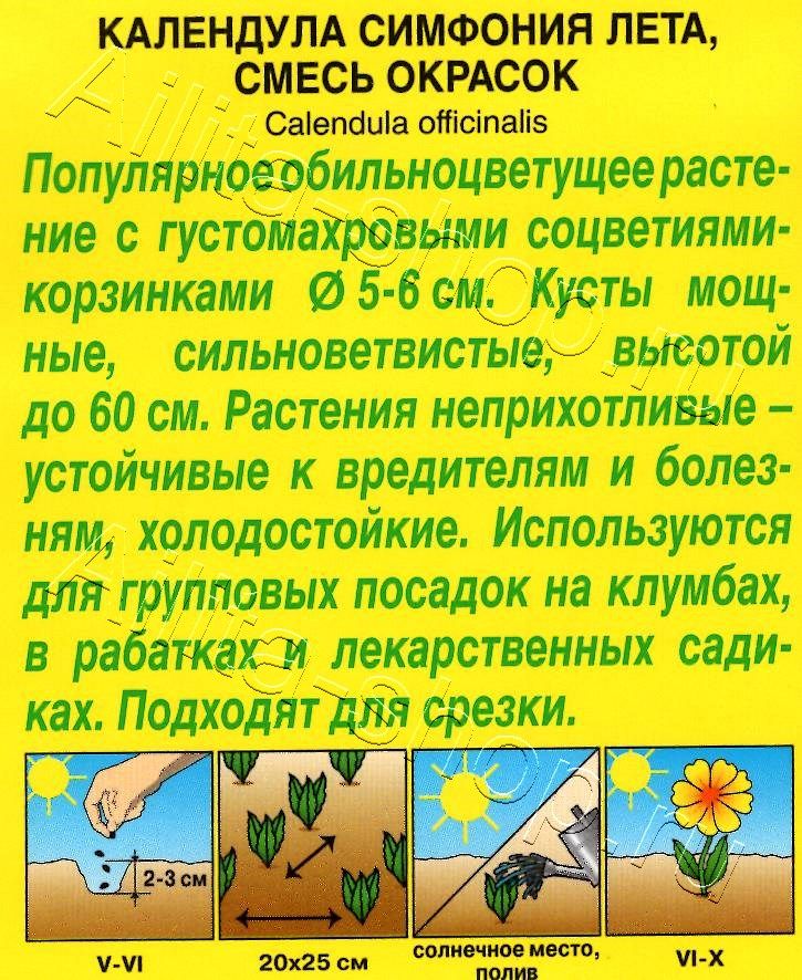 Календула Симфония лета, смесь окрасок 0,5г