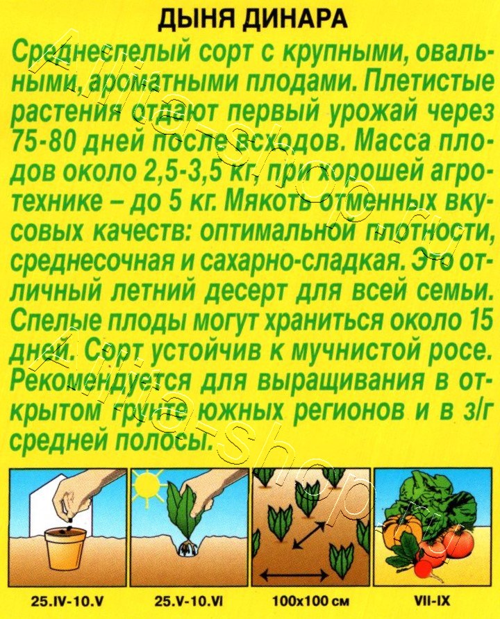 Дыня Динара 1г