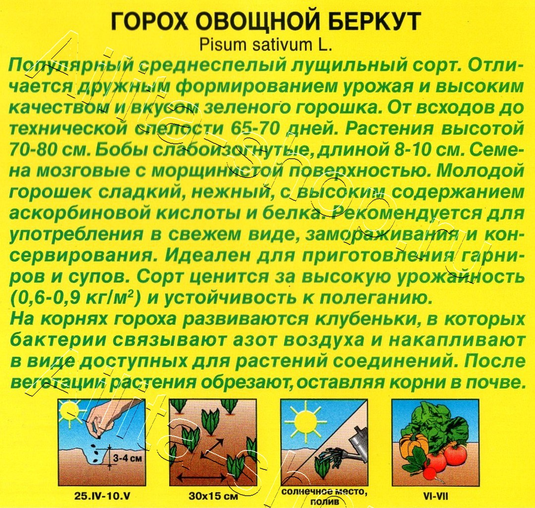 Горох овощной Беркут 25г