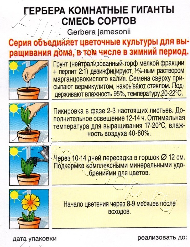 Гербера Комнатные гиганты, смесь сортов 0,04г