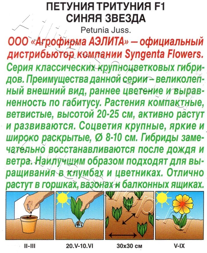 Петуния Тритуния F1 синяя звезда 7шт