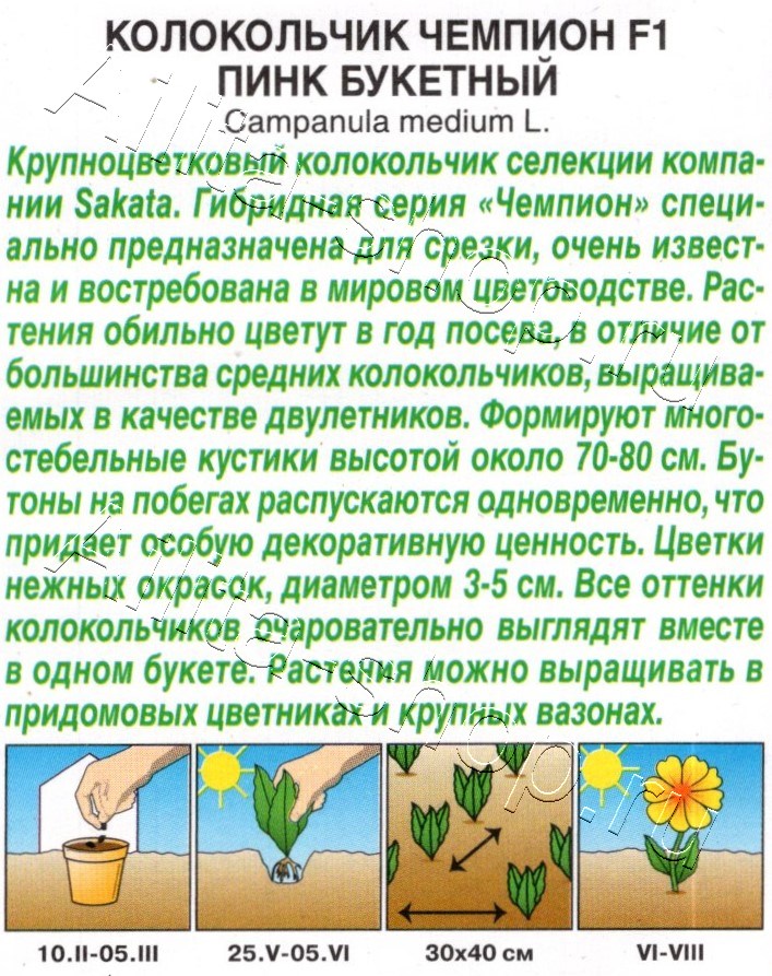 Колокольчик Чемпион F1 пинк букетный 4шт