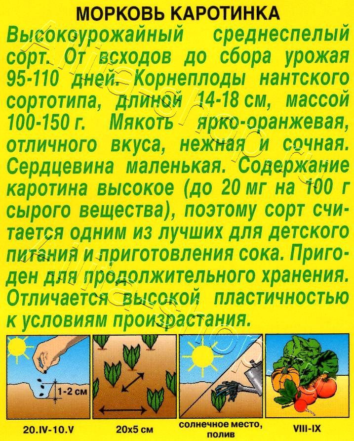 Морковь Каротинка 2г