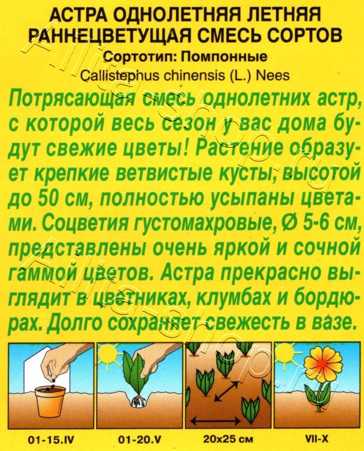 Астра Летняя раннецветущая, смесь сортов 0,2г