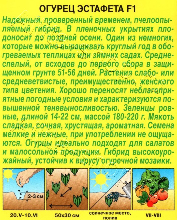 Огурец Эстафета F1 10шт