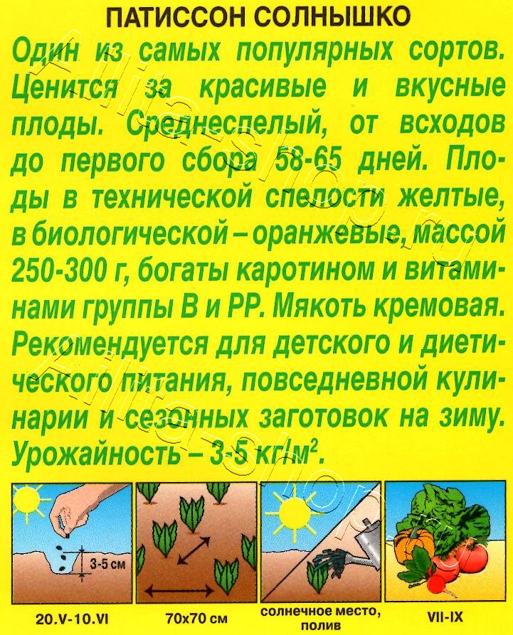 Патиссон Солнышко 1г