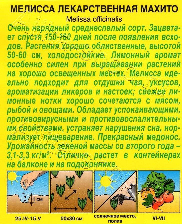 Мелисса лекарственная Махито 0,1г