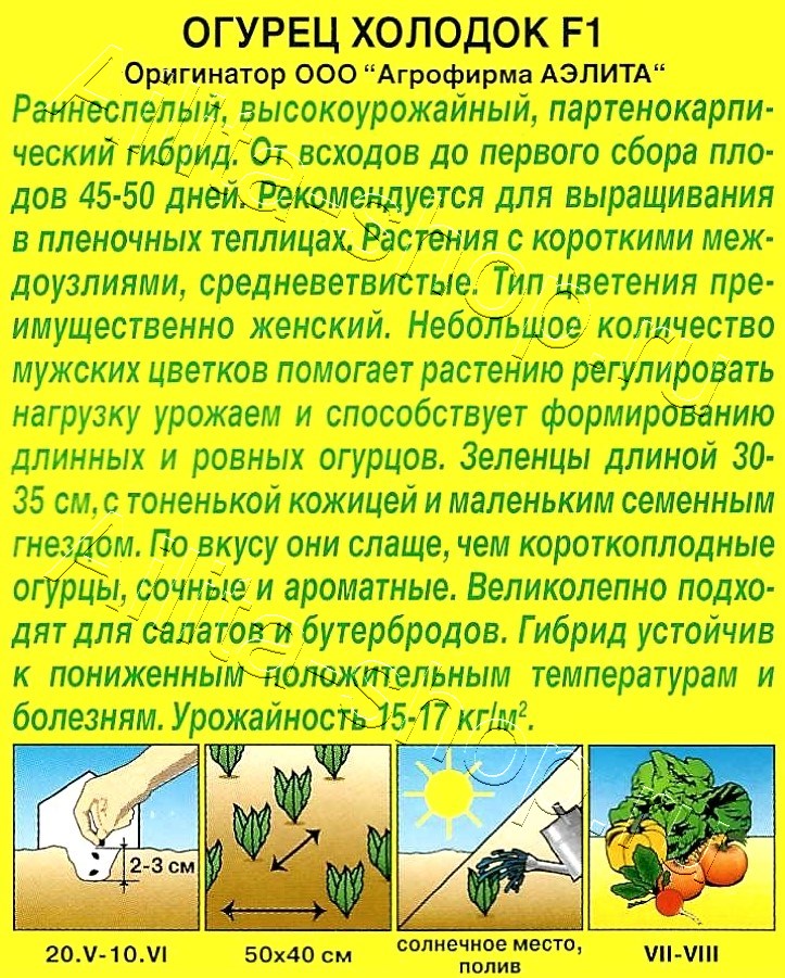 Огурец китайский Холодок F1 7шт