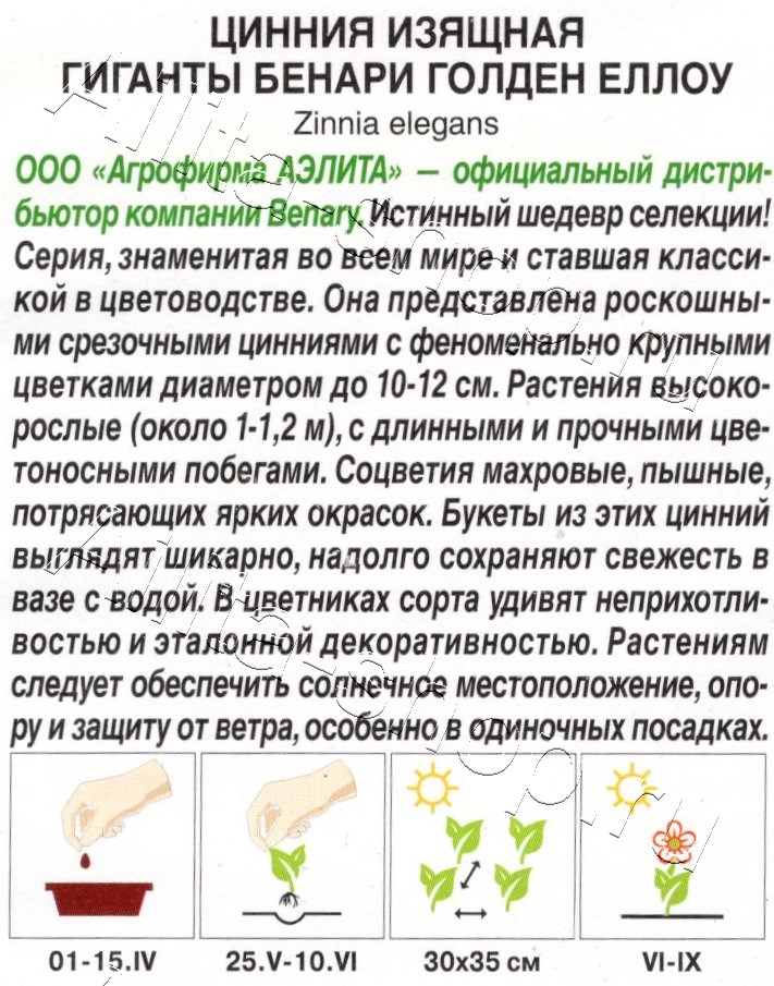 Цинния Гиганты Бенари голден еллоу 7шт