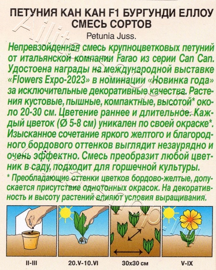 Петуния Кан кан F1 бургунди еллоу, смесь сортов 5шт