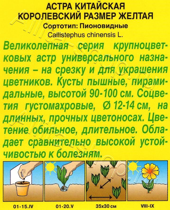 Астра Королевский размер желтая 0,1г