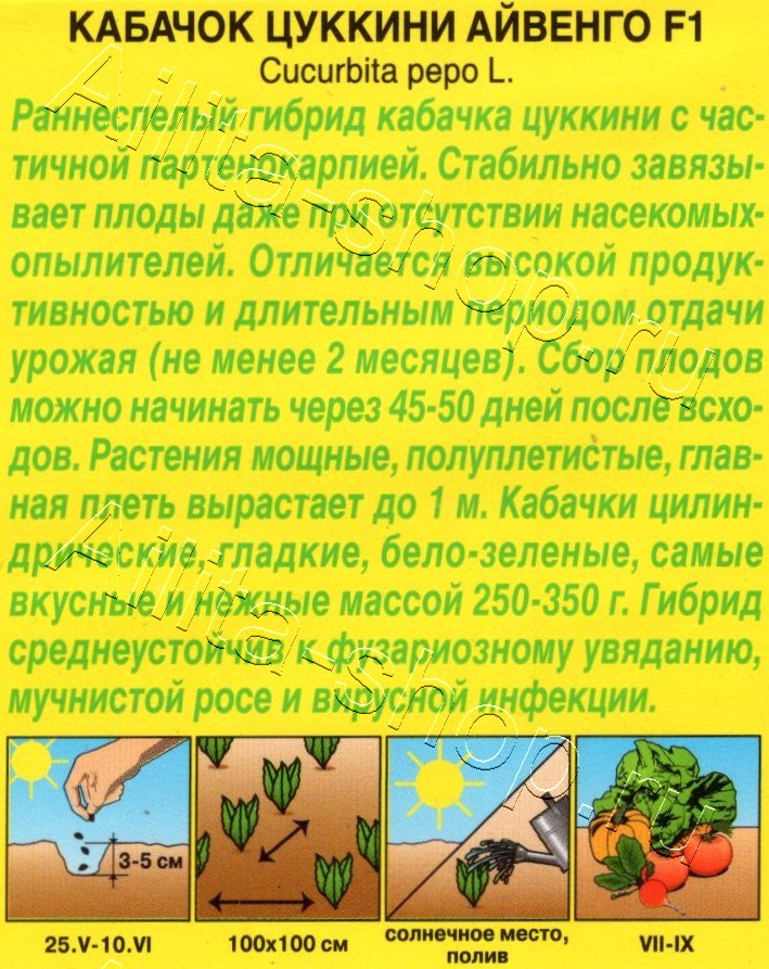 Кабачок цуккини Айвенго F1 7шт