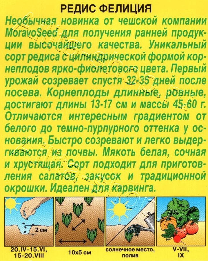 Редис Фелиция 2г