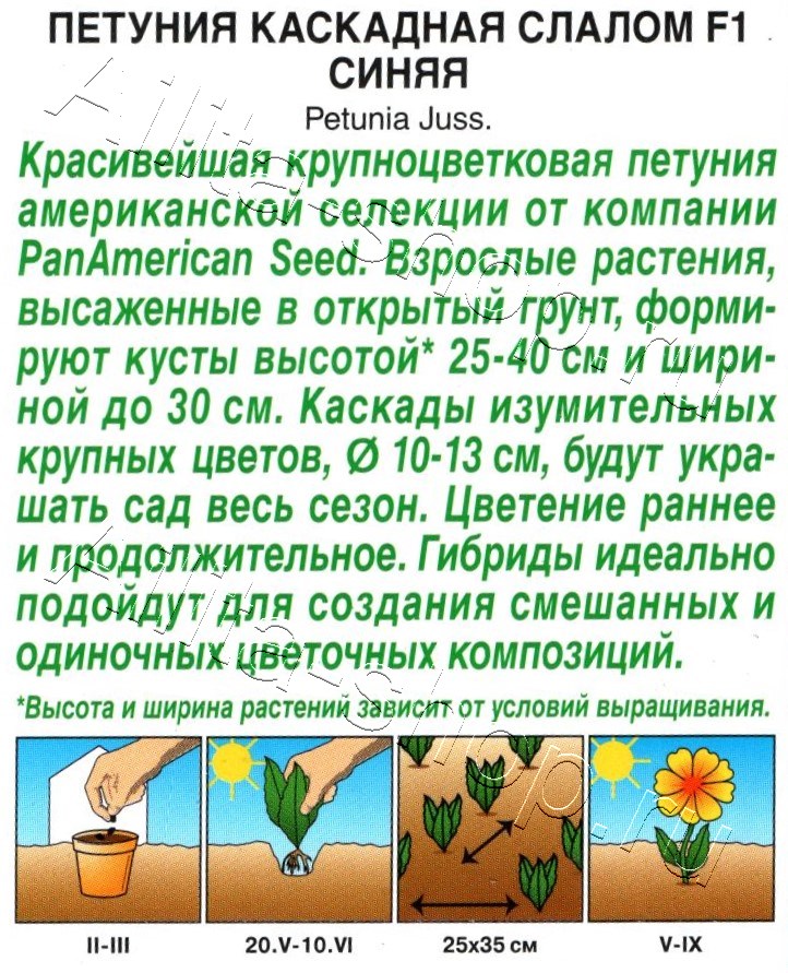 Петуния Каскадная слалом F1 синяя 7шт