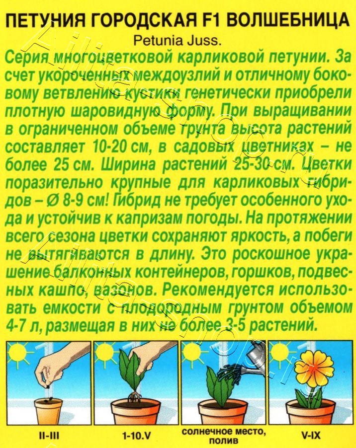 Петуния Городская F1 волшебница 7шт