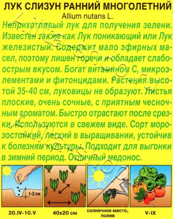 Лук слизун Ранний многолетний 0,5г