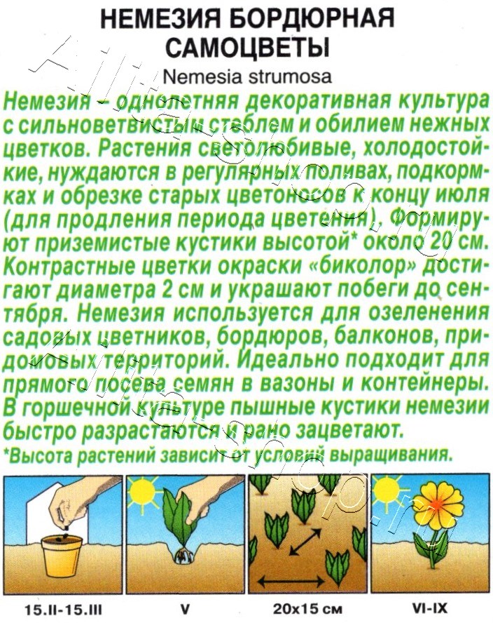 Немезия бордюрная Самоцветы 0,05г