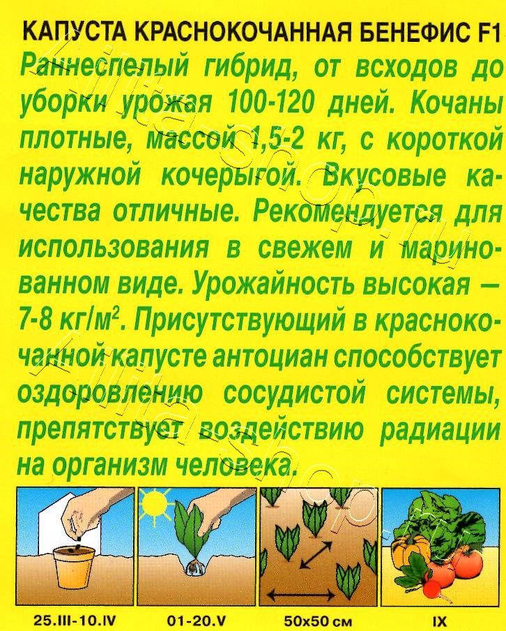 Капуста к/к Бенефис F1 0,1г